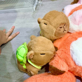 Plushie - Thú bông Capybara đeo tay ❣️ Chuột lang nước nhồi bông đáng yêu 🌷 quà tặng Noel, sinh nhật