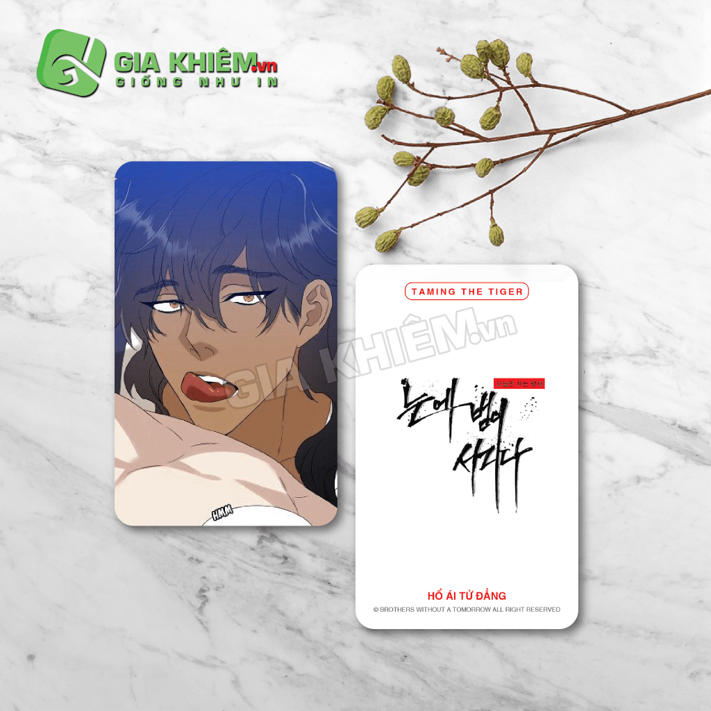 Lomo Card H I T Ng Taming The Tiger Part 2 Shopee Vi T Nam