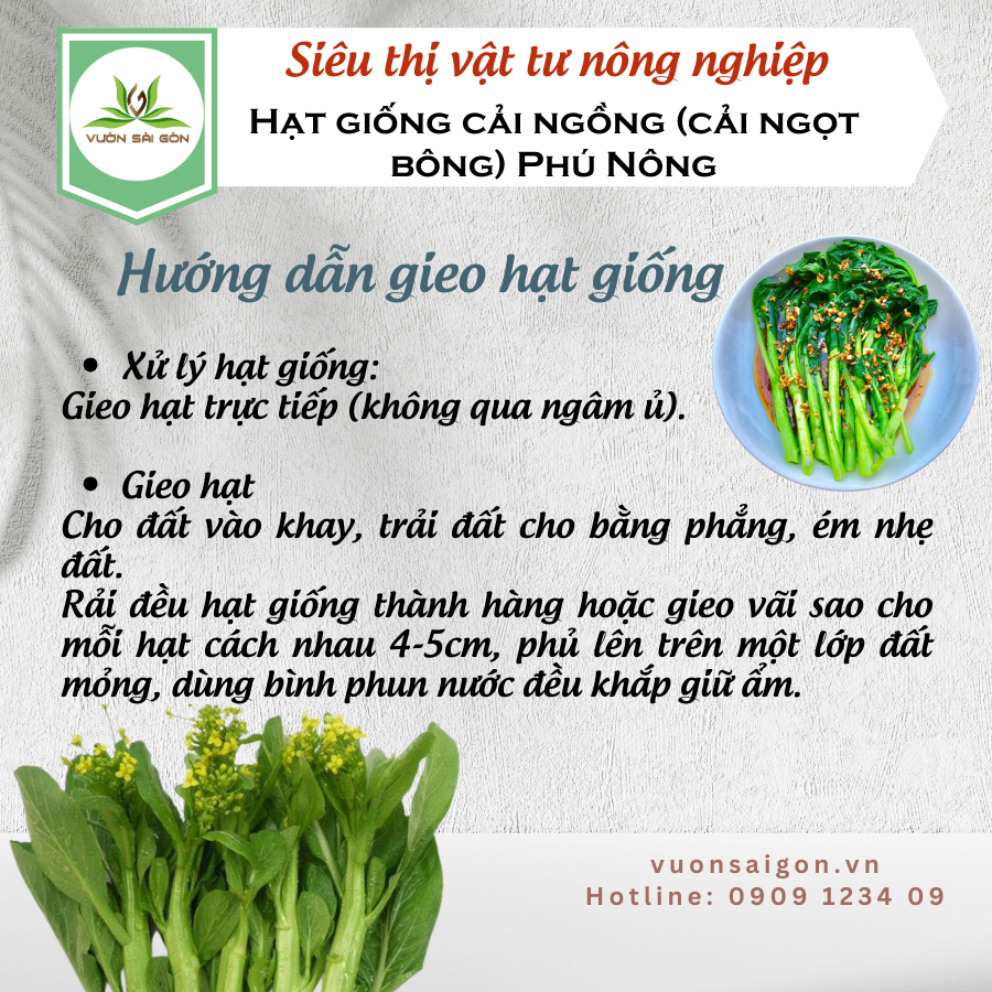 Hạt giống cải ngồng (cải ngọt bông) Phú Nông 3