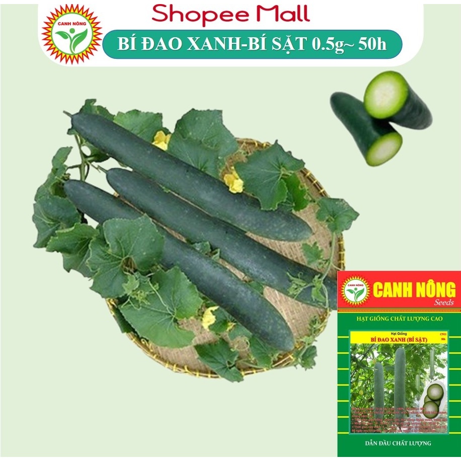 Hạt Giống Bí Đao Xanh (Bí Sặt Cao Sản) Trái Dài Sinh Trưởng Khỏe, Trồng Quanh Năm (Gói 0,2gr~50h) - Hạt Giống CANH NÔNG