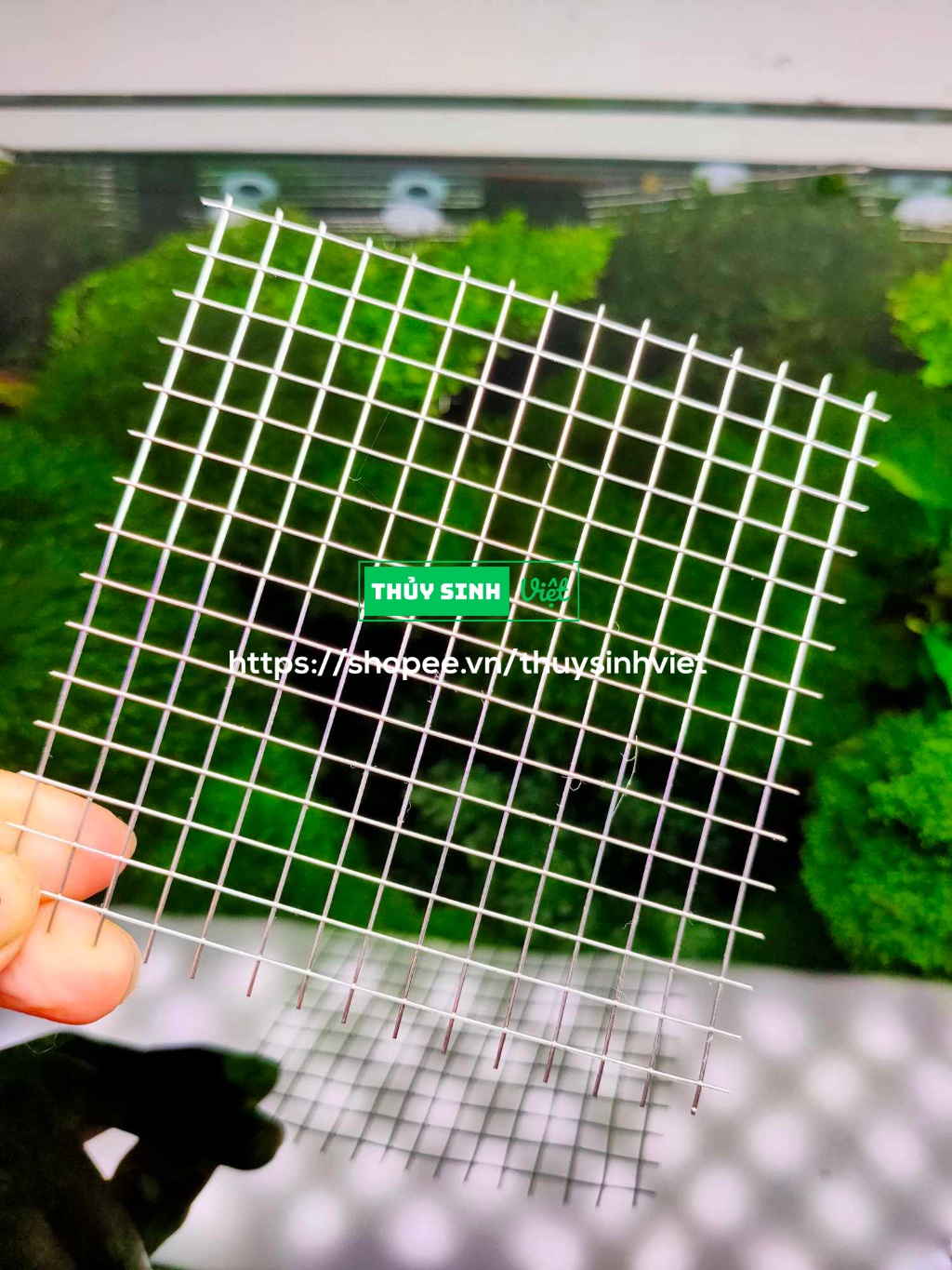 Vỉ lưới inox 304 buộc ươm rêu - Phụ kiện thủy sinh - Thủy Sinh Việt ...