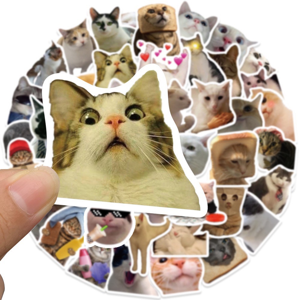 Sticker Mèo Meme (Set 50) hình dán PET chống thấm nước họa tiết hoạt ...
