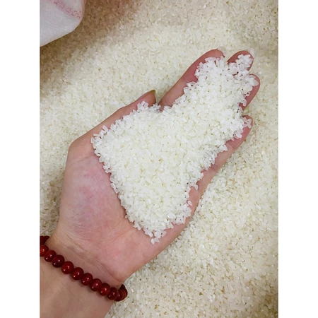 Gạo Tấm Thơm Dẻo ,Thơm Cơm ,Gạo Dùng Để Nấu Cơm Tấm, Nấu Cháo Cho Bé, Hạt Trắng, Đều - Bena organic