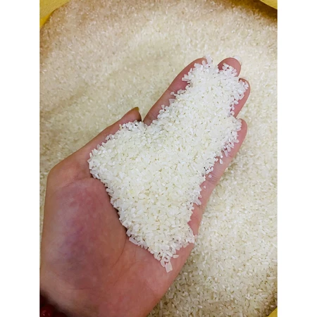 5KG Gạo Tấm ST25 - Gạo Tấm Thơm Dẻo Ngọt, Dùng Làm Cơm Tấm, Cháo Dinh Dưỡng, Cháo Cho Bé - Bena Organic