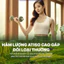 Cao ống atiso không đường Ammu mẫu mới gấp đôi hàm lượng tinh chất atiso hộp 10 ống 10 ml