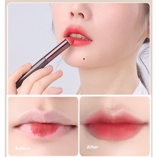 Combo 5 Cây Cọ Tán Môi Đầu Tròn Đa Năng - Cây Cọ Che Khuyết Điểm - Cọ Tán Son Môi