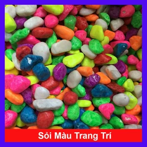 Sỏi Màu Trang Trí Chậu Cây (Bịch 600g) - Trang trí bể cá, sân vườn