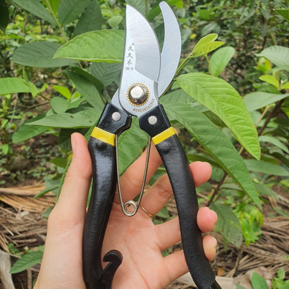 Combo Dụng Cụ Làm Vườn Cây Cảnh Bonsai NB (Kéo Cắt Cành SK5, Kéo Tay Nỉ,  Cưa Lách New và Tỉa Thép Trắng) - GD Smart