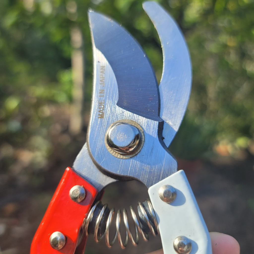 Kéo Tỉa Cành Cắt Cành Cây Cảnh Bonsai Nhật Bản - Dụng Cụ Nông Nghiệp GD Smart