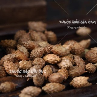 Ké đầu ngựa 500g, thương nhĩ tử khô, sạch, không gai, không lẫn tạp chất - Lãn Ông