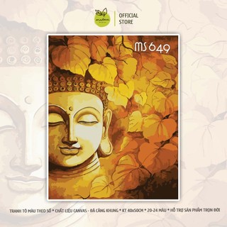 Tranh tô màu theo số 40x50cm đã căng khung - Tranh tô Đức Phật T649