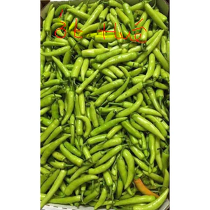 ớt Huế ,500gram. Khách du lịch mua làm quà rất nhiều