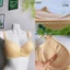 Áo ngực đệm dày , Áo lót ren đệm dày bản to ,đồ lót 12h ,áo ngực mút dày:0916422087