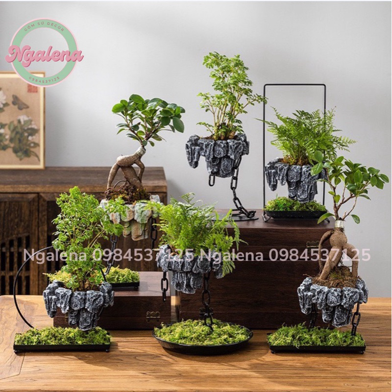 Chậu đảo bay, chậu cây lơ lửng trồng cây bonsai, trồng rêu decor trang ...