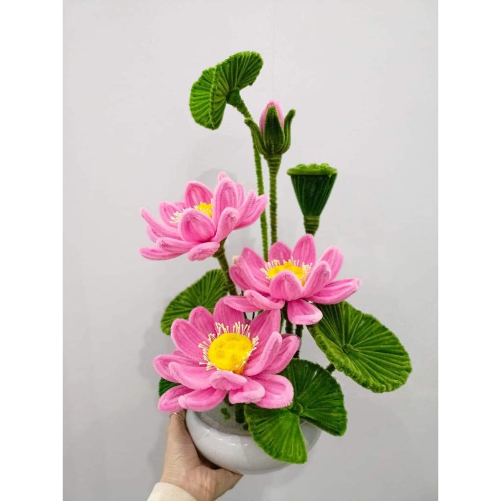 vn-11134207-7r98o-lolsv3k9rjcnfe