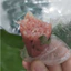 Nem chua Thanh Hóa gói VUÔNG to ngon nhiều thịt