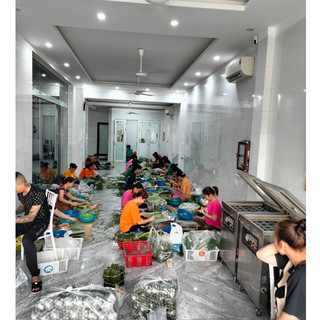 [Nem chua Mai Nê] Nem chua Thanh Hóa gói VUÔNG to ngon nhiều thịt