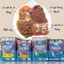 Pate Snappy Tom Gói 85g Cho Mèo Từ Thịt Cá Thật Đủ Vị - Pate TIỆN Và TIẾT KIỆM