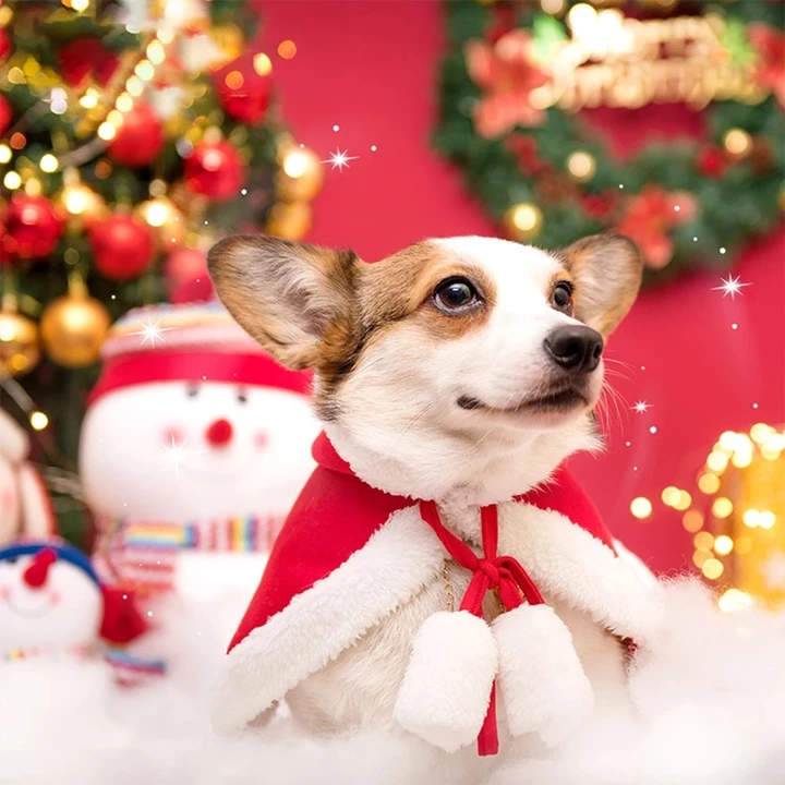 Áo choàng giáng sinh năm mới cho thú cưng, áo choàng noel cho chó mèo, đồ giáng sinh cho chó mèo