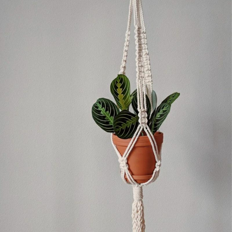 1 m Dây Thừng Macrame, Làm Chậu, Trang Trí Ấn Tượng, Cắt Theo M Tới