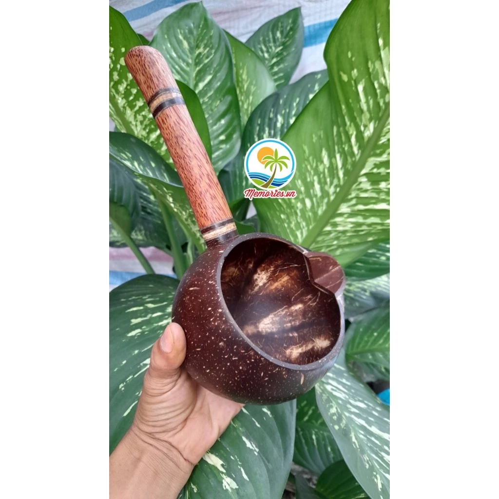 Gáo Dừa Múc Nước, Tưới Cây, Làm Bánh, Gội Đầu Dưỡng Sinh, Spa, Phụ Kiện Chụp Hình, Trang Trí Resort