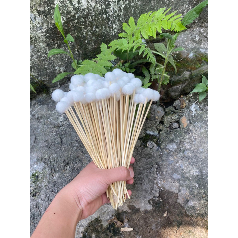 Combo 100 Bông Ngoáy Tai Cao Cấp - Cây Bông Ráy Tai- Bông Ngoáy Tai Xe ...