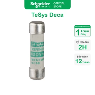 Cầu chì ống NFC DF2CA02 Schneider TeSys GS hình trụ 10mm x 38mm, loại cầu chì aM, 500VAC, 2A