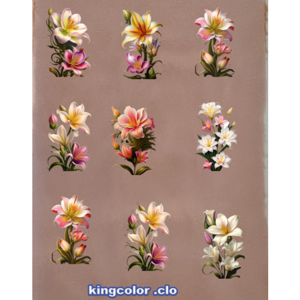 HÌNH HOA ỦI QUẦN ÁO-Sticker -hình ủi áo [khuyến mãi ]in pet chuyển nhiệt- ủi trực tiếp lên vải, áo bằng bàn ủi rất đẹp.