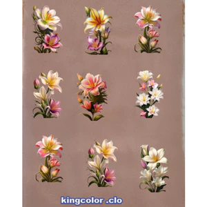 HÌNH HOA ỦI QUẦN ÁO-Sticker -hình ủi áo [khuyến mãi ]in pet chuyển nhiệt- ủi trực tiếp lên vải, áo bằng bàn ủi rất đẹp.