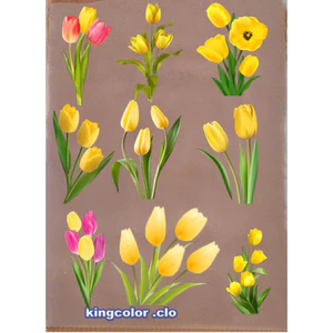 HÌNH IN ỦI NHIỆT-Sticker-hình in áo [khuyến mãi ]- ủi trực tiếp lên vải,áo bằng bàn ủi rất đẹp-THOTRANG.OFFICAL -LUCKY
