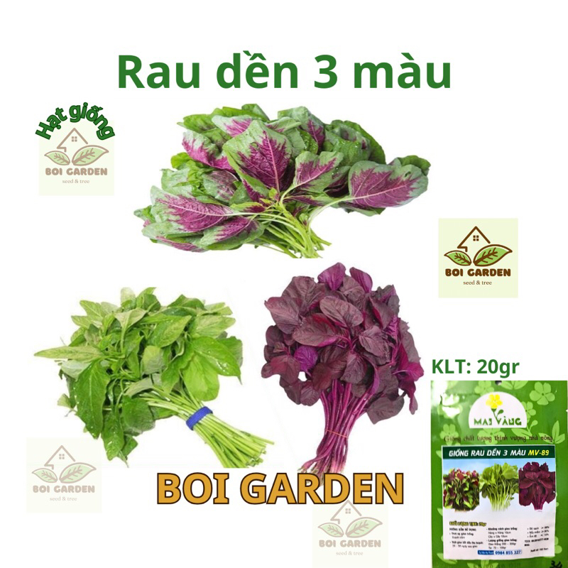 Hạt giống Rau dền mix 3 màu (152) | Shopee Việt Nam