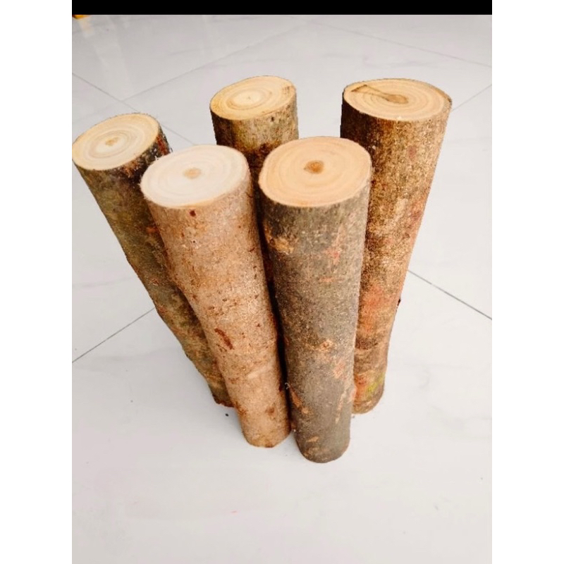 Cành củi khô luộc bánh chưng trang trí decor Noel trang trí lò sưởi gỗ ...