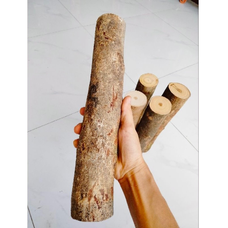 Cành củi khô luộc bánh chưng trang trí decor Noel trang trí lò sưởi gỗ ...