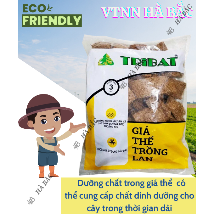 Giá Thể Trồng Lan - Vỏ Xơ Dừa Tribat (3dm3) - Giúp Chống Nóng, Giữ Ẩm và Giữ Dinh Dưỡng Tốt, Làm Đất Tơi Xốp, Thoáng Khí
