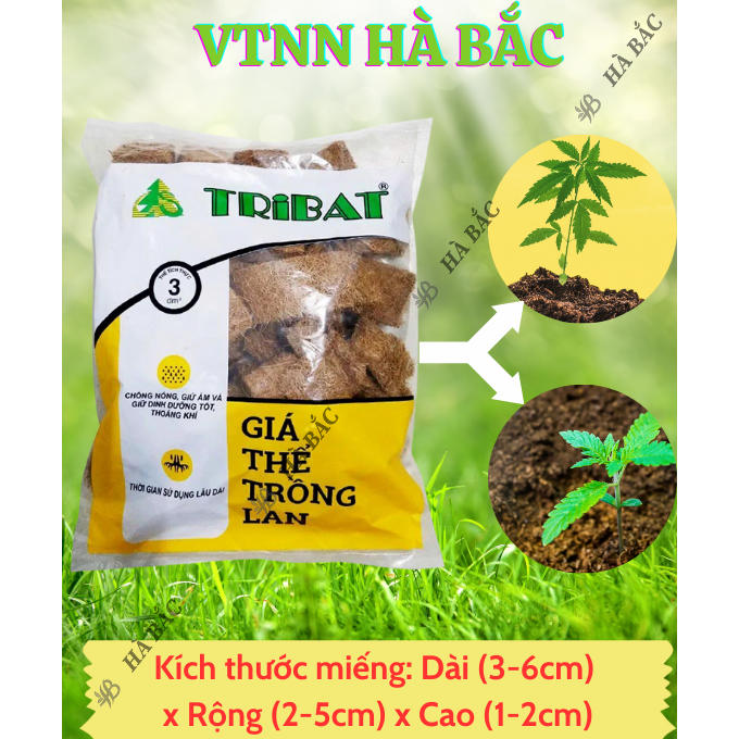 Giá Thể Trồng Lan - Vỏ Xơ Dừa Tribat (3dm3) - Giúp Chống Nóng, Giữ Ẩm và Giữ Dinh Dưỡng Tốt, Làm Đất Tơi Xốp, Thoáng Khí