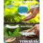 Phân Bón NPK 30-9-9+TE Minro (200GR) - Bổ Sung Vi Lượng, Phát Triển Thân, Cành, Rễ, Chuyên Rau màu, Cây trái, Hoa Kiểng