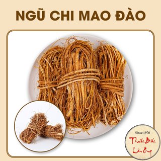 Ngũ chỉ mao đào 100g, Wuzhimaotao, nhân sâm Quảng Đông, nấu canh dưỡng sinh, kiện tỳ, bổ phổi - Lãn Ông