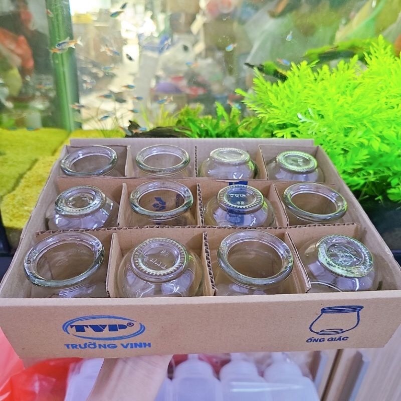 Bộ ống giác hơi 12 ống - Bộ 12 vắt hơi thuỷ tinh Cao Cấp