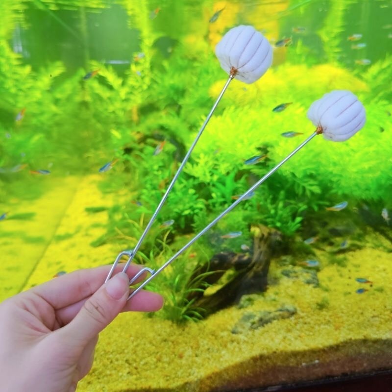 Bộ ống giác hơi 12 ống - Bộ 12 vắt hơi thuỷ tinh Cao Cấp