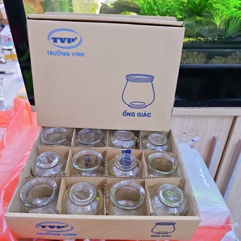 Bộ ống giác hơi 12 ống - Bộ 12 vắt hơi thuỷ tinh Cao Cấp