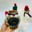 Lọ chữa lành quà tặng noel xinh xắn, đáng yêu