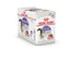 ROYAL CANIN STERILISED WET - HỖ TRỢ GIỮ VÓC DÁNG CỦA MÈO 85GR