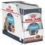 ROYAL CANIN URINARY CARE WET - PATE HỖ TRỢ SỨC KHỎE TIẾT NIỆU CHO MÈO 1 HỘP