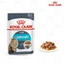 ROYAL CANIN URINARY CARE WET - PATE HỖ TRỢ SỨC KHỎE TIẾT NIỆU CHO MÈO 1 HỘP
