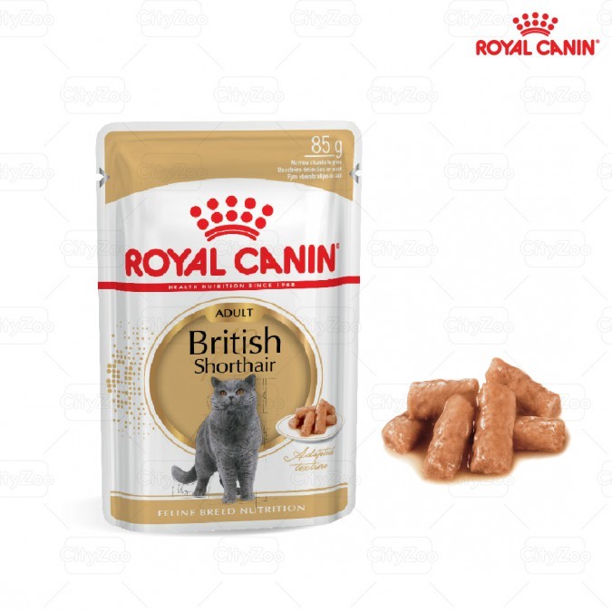 ROYAL CANIN BRITISH SHORTHAIR WET - PATE HỖ TRỢ KIỂM SOÁT CÂN NẶNG CHO MÈO 1 HỘP