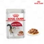 ROYAL CANIN INSTINCTIVE IN GRAVY – PATE DÀNH CHO MÈO TRƯỞNG THÀNH 1 HỘP