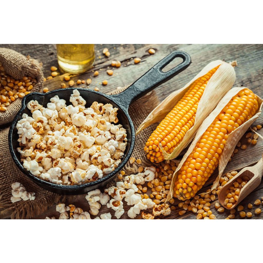 Bắp Mỹ Khô Việt San 250g/500g/1kg - Hạt Bắp Vàng Mẩy Sạch Sẻ Nấu Xôi Làm Bắp Rang Bơ Giòn Tan