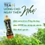Thùng 24 Chai Trà Ô long Tea+ (320 ml/chai)