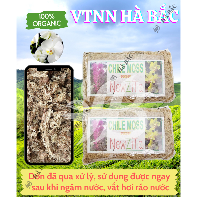 Dến Chile Moss Hiệu NewZita - Giá Thể Trồng Lan - Chuyên dùng cho lan, Giúp giữ nước, Kháng khuẩn, Cung cấp oxy cho cây