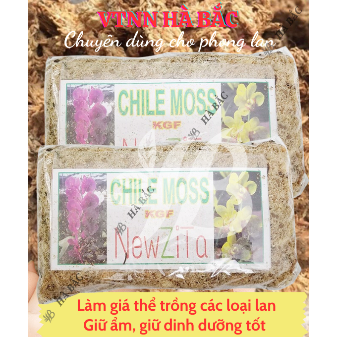 Dến Chile Moss Hiệu NewZita - Giá Thể Trồng Lan - Chuyên dùng cho lan, Giúp giữ nước, Kháng khuẩn, Cung cấp oxy cho cây